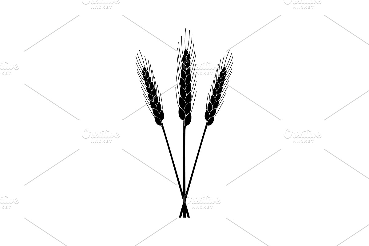 Ears of Wheat icon. vector  in Graphics - product preview 8
