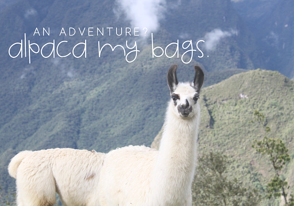 Alpaca - A Quirky Handwritten Font in Display Fonts - product preview 7