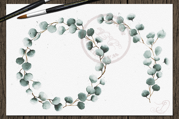 Watercolor Eucalyptus Clip Art in Illustrations - product preview 1
