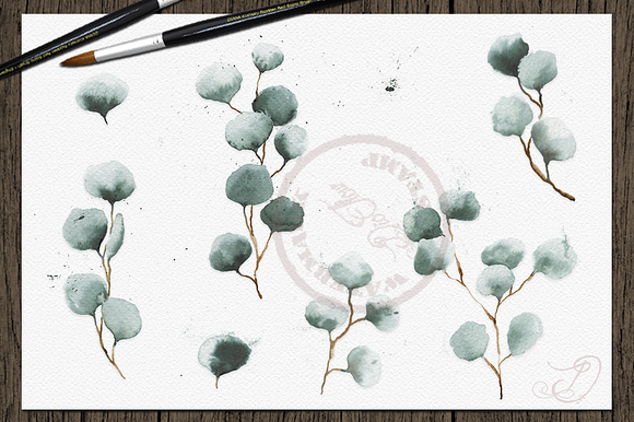Watercolor Eucalyptus Clip Art in Illustrations - product preview 2