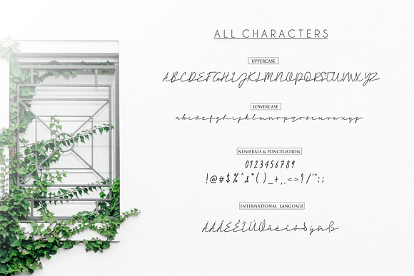 Rahayu Signature Font in Script Fonts - product preview 7