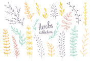 Hand-drawn herbs collection