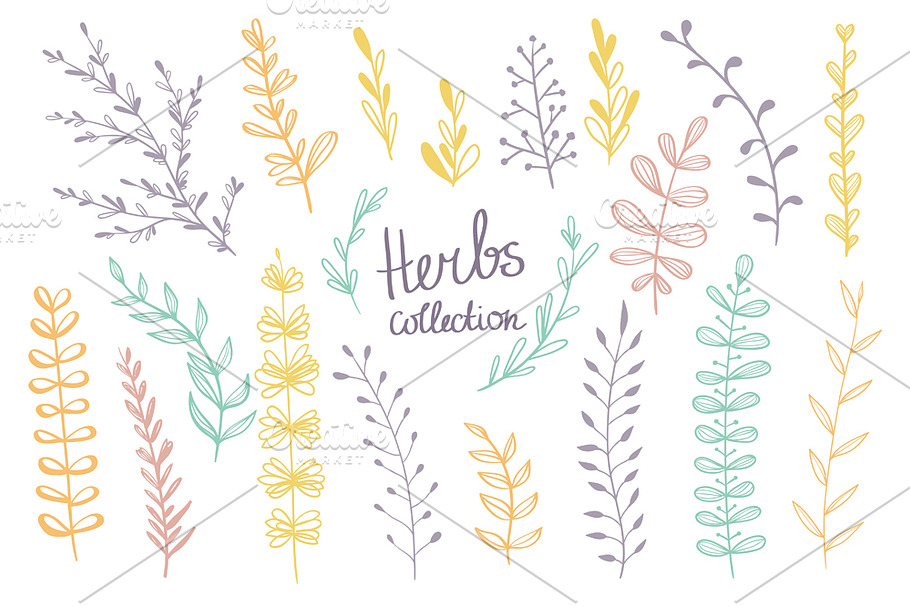 Hand-drawn herbs collection