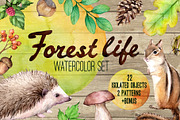 Forest life Watercolor set