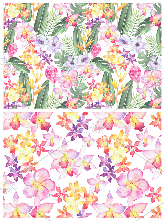 Tropical Flora, watercolor clipart in Illustrations - product preview 1