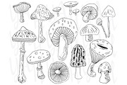 Hand Draw Mushroom Set