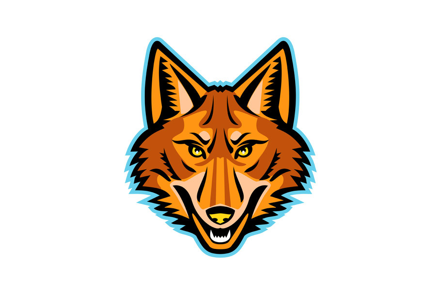 Coyote Head Front Mascot