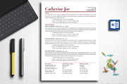 Professional  Resume Template Word