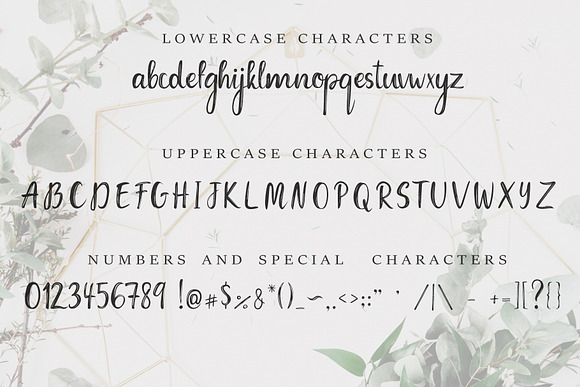 Coconut Font+FREE abstract patterns in Script Fonts - product preview 1