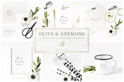 Olive & anemone stock photos,mockups
