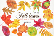 Watercolor Fall Leaves Clipart