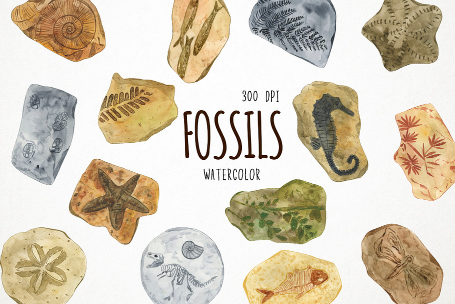 Watercolor Fossils Clipart in Illustrations - product preview 8