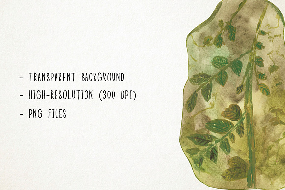 Watercolor Fossils Clipart in Illustrations - product preview 2