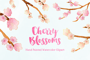 Cherry Blossoms Watercolor Clipart