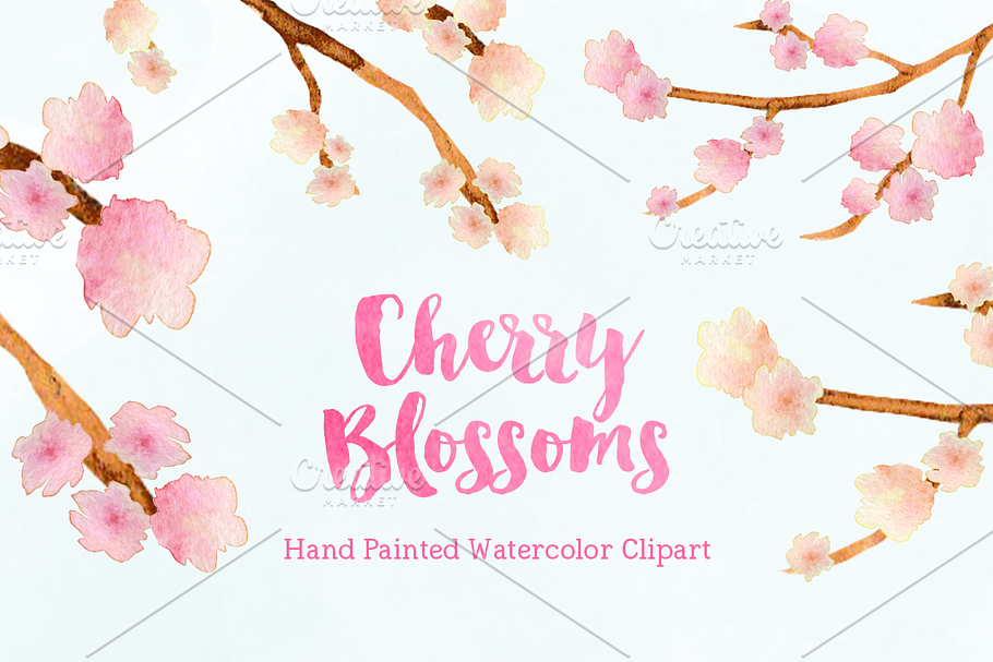 Cherry Blossoms Watercolor Clipart