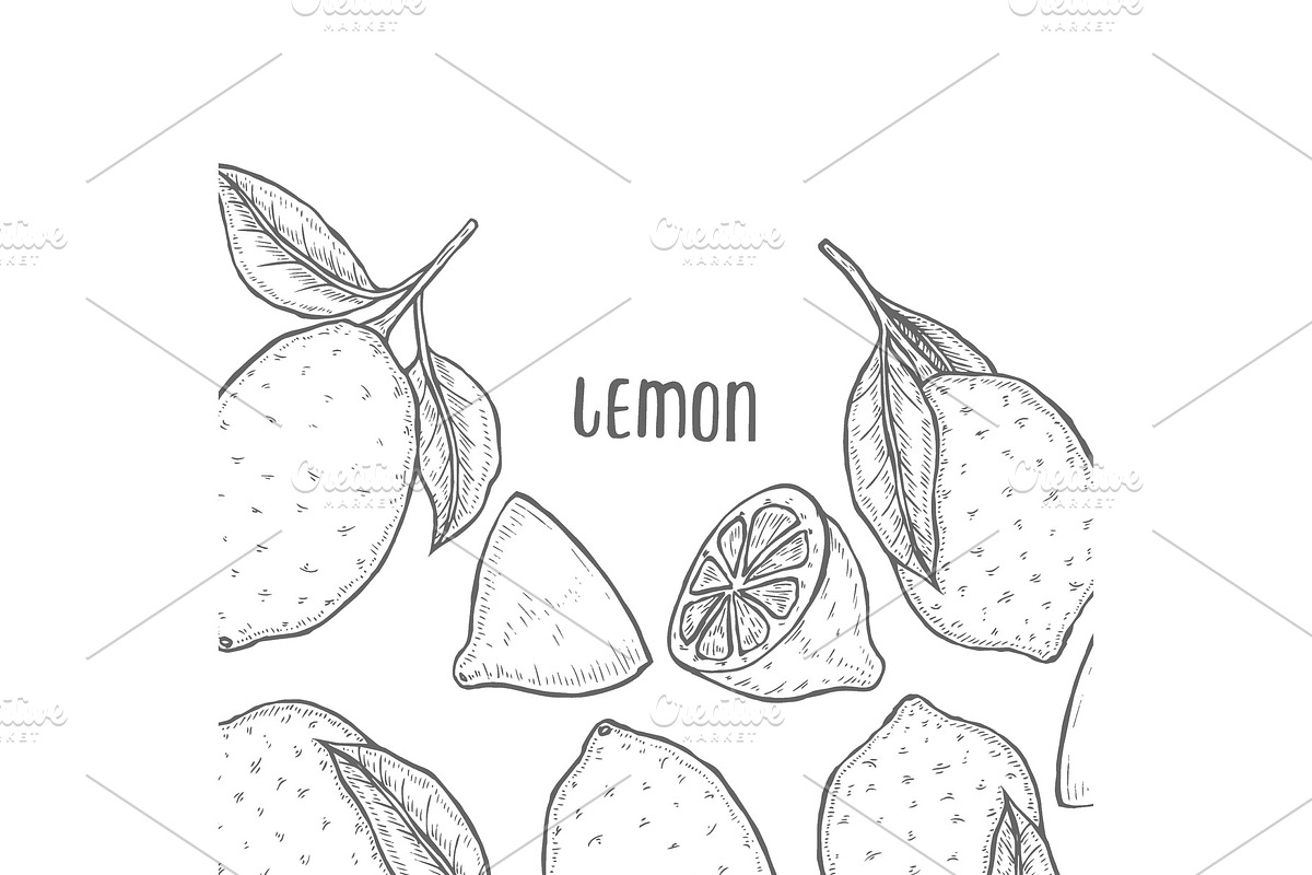 hand drawn sketch in Illustrations - product preview 8