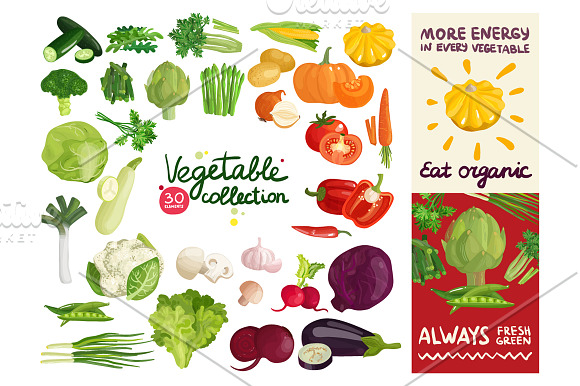 Cartoon Vegetables Set in Objects - product preview 2