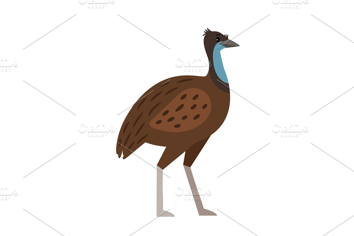 Emu cartoon bird icon in Illustrations - product preview 8