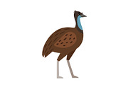Emu cartoon bird icon