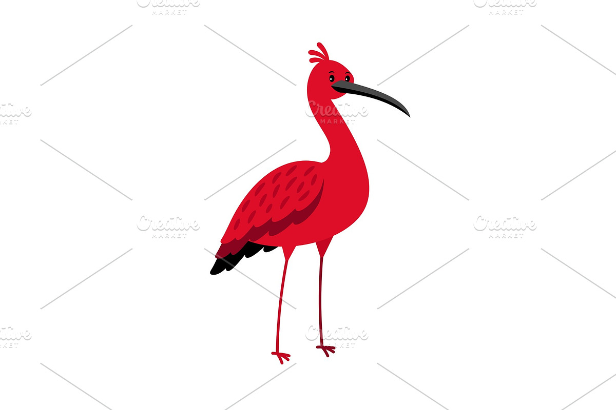 Ibis red bird cartoon icon in Illustrations - product preview 8