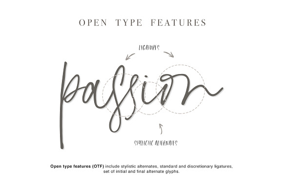 L'aster Font in Script Fonts - product preview 4