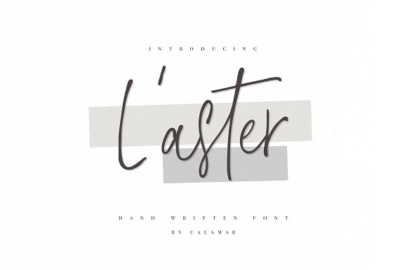 L'aster Font in Script Fonts - product preview 13