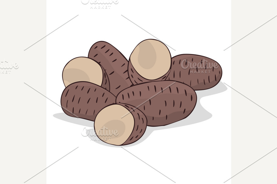 Isolate ripe russet potato tubers in Illustrations - product preview 8