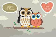 Owl Illustrations