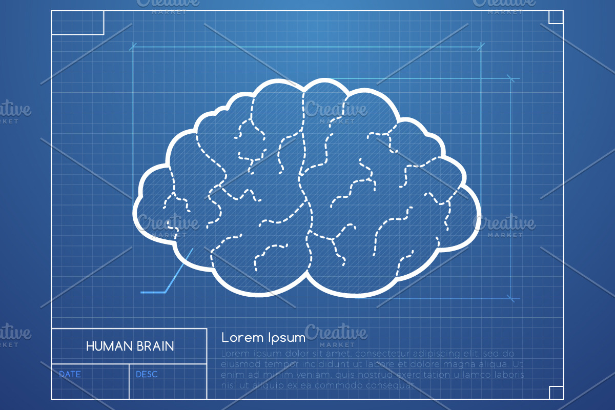 Brain Blueprint in Illustrations - product preview 8