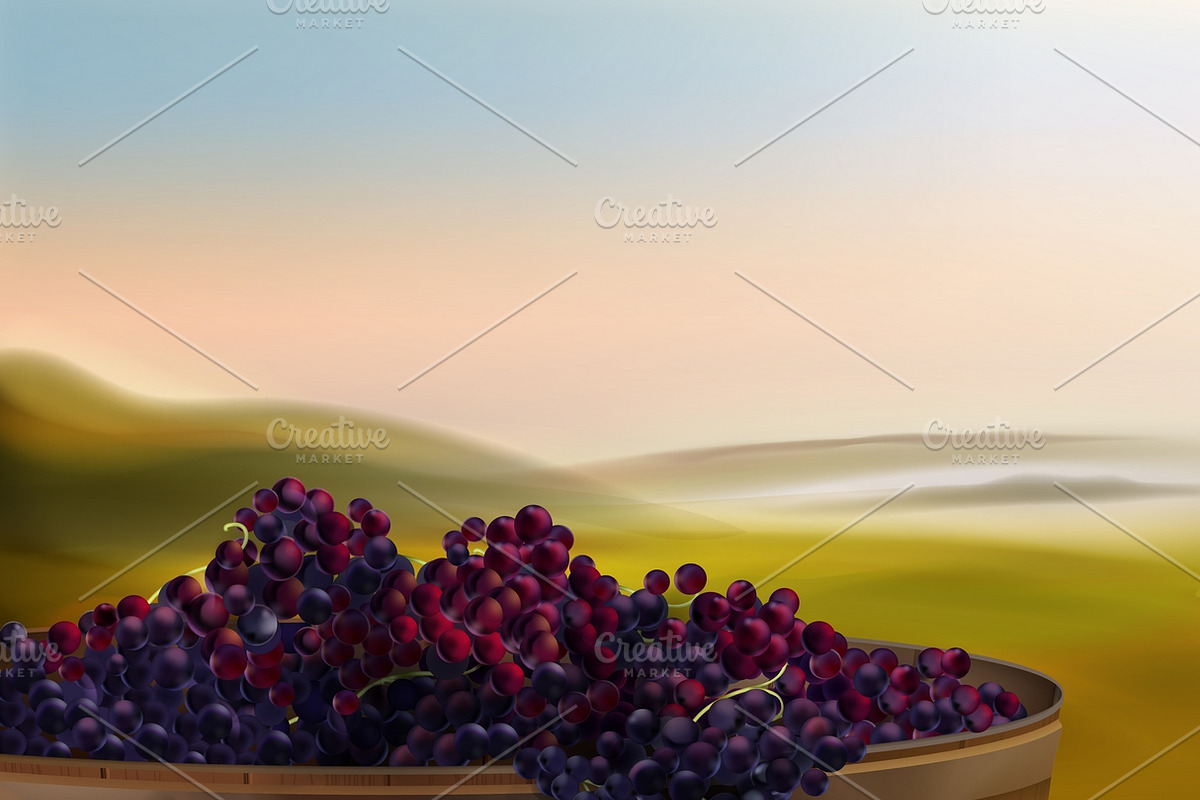 Vat with grapes in Illustrations - product preview 8