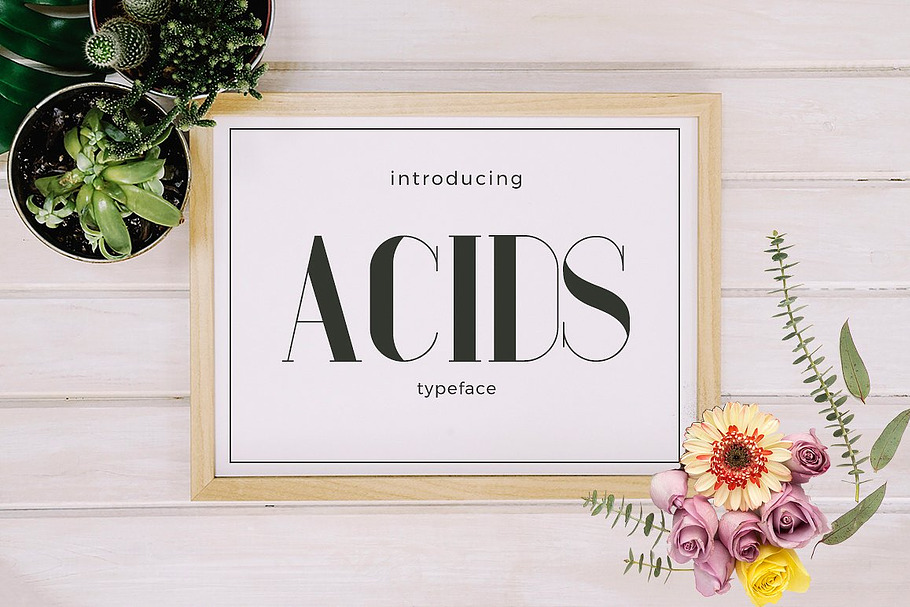 Acids Typeface in Fonts - product preview 8