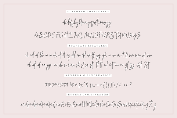 Beauty Notes Script + Illustrations in Script Fonts - product preview 1