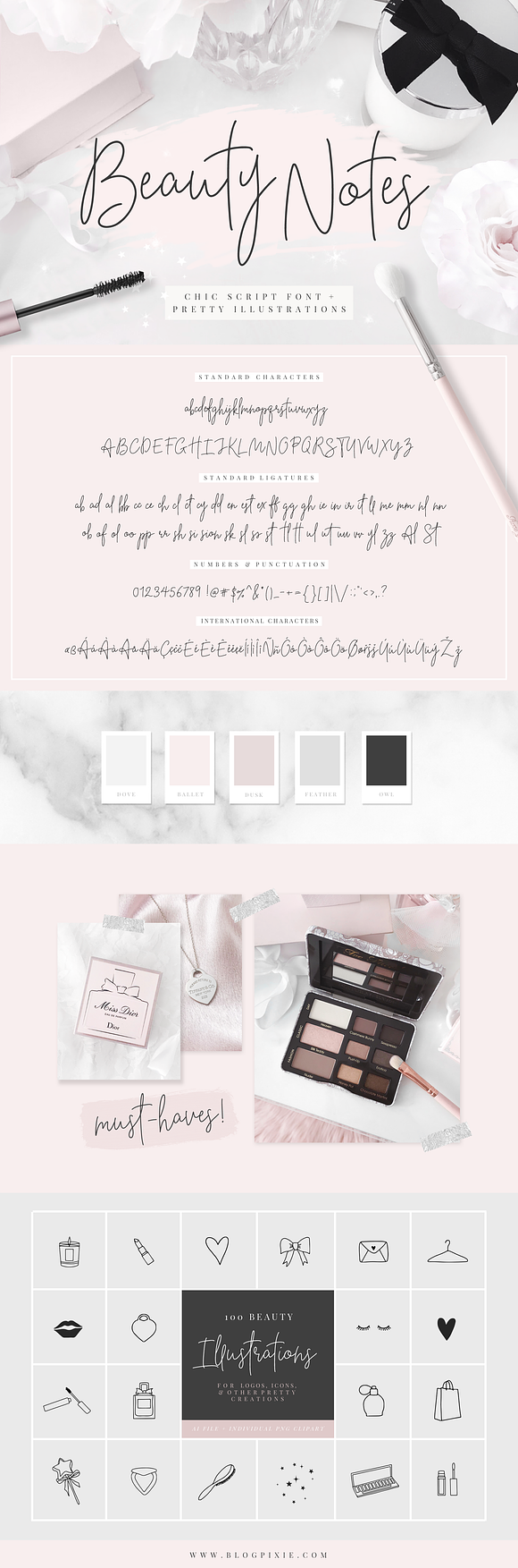 Beauty Notes Script + Illustrations in Script Fonts - product preview 14