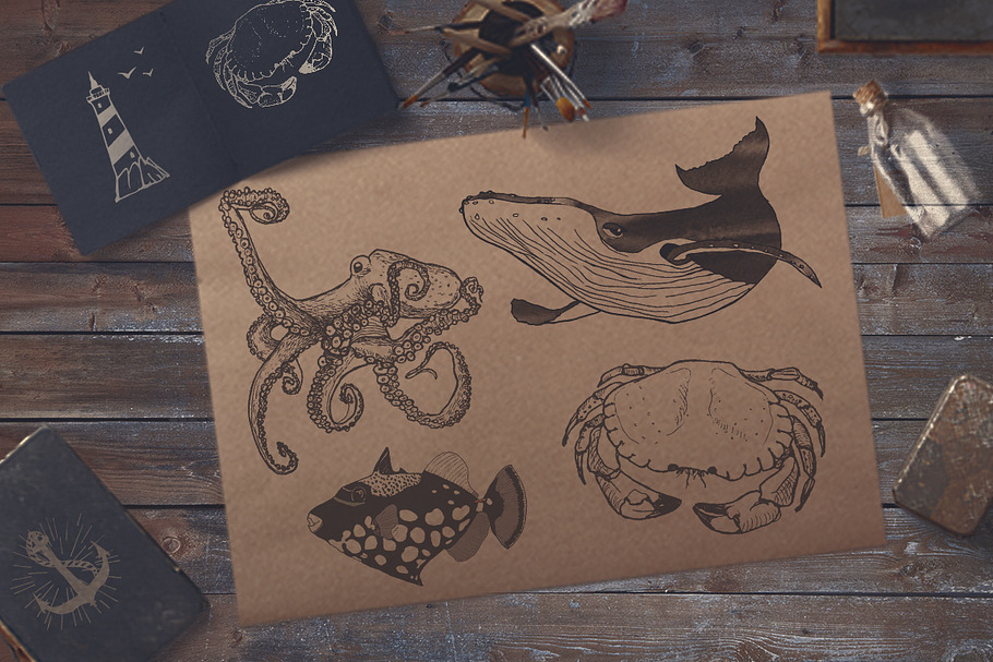 Nautical illustrations in Illustrations - product preview 8