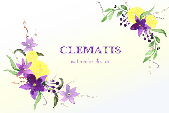 Clematis Purple. Watercolor clip art in Illustrations - product preview 1