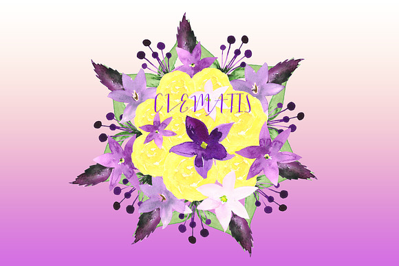 Clematis Purple. Watercolor clip art in Illustrations - product preview 2