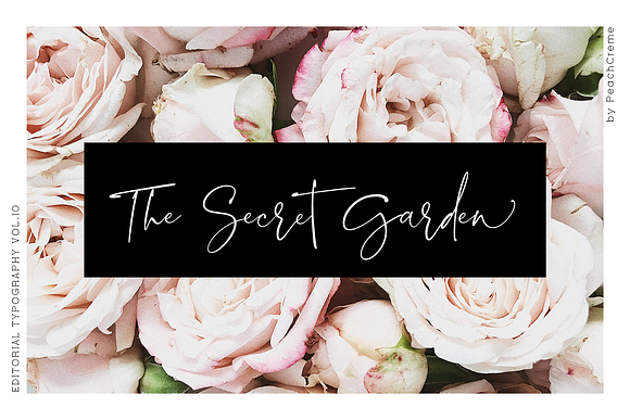 Blush Society // Editorial Vol.10 in Script Fonts - product preview 14