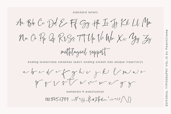 Blush Society // Editorial Vol.10 in Script Fonts - product preview 19