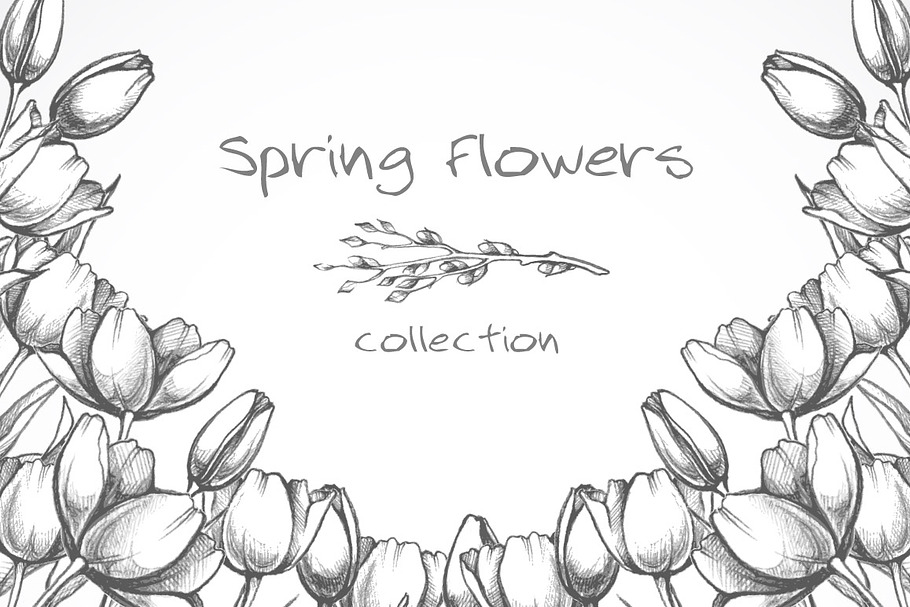 Hand drawn spring flowers set