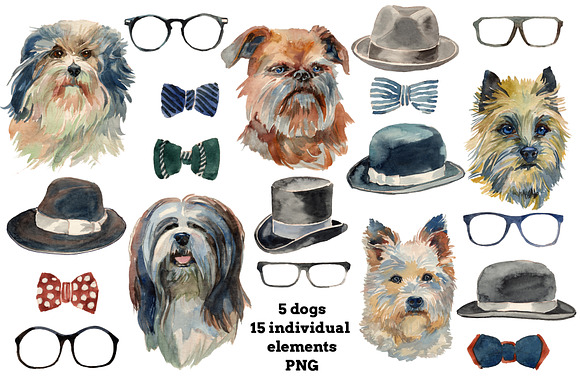 Hipster dogs watercolor set in Illustrations - product preview 1