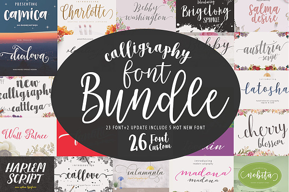 Font Bundle Caligraphy 85%Off  in Cute Fonts - product preview 26