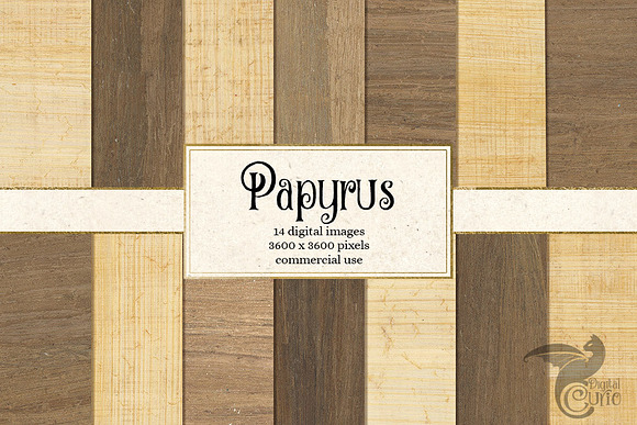 Papyrus Textures in Textures - product preview 2