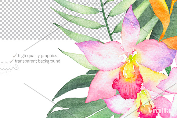 Tropical Flora, watercolor clipart in Illustrations - product preview 4