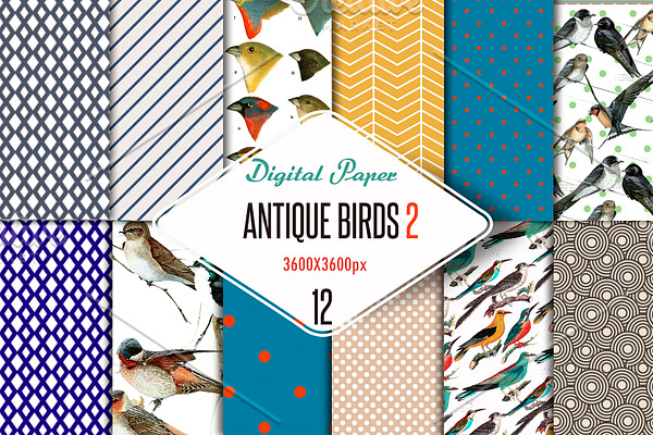 Antique birds 2 Digital Paper