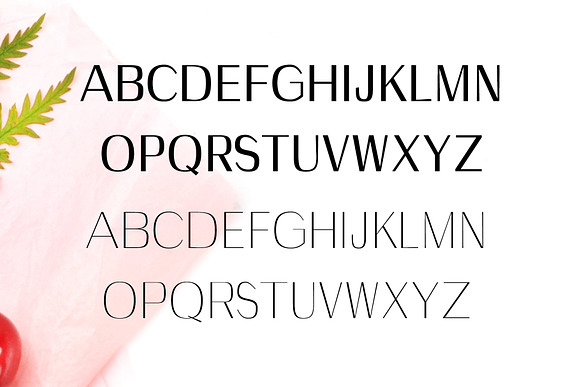 Wrenn Sans Serif 6 Font Family in Sans-Serif Fonts - product preview 3