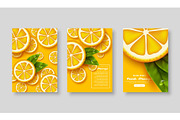 Sliced orange poster set.