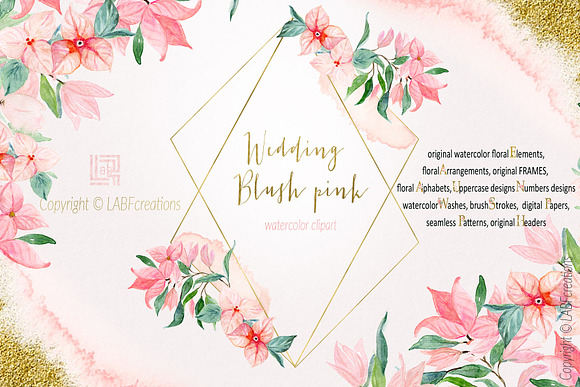Blush pink bougainvillea flowers in Illustrations - product preview 13