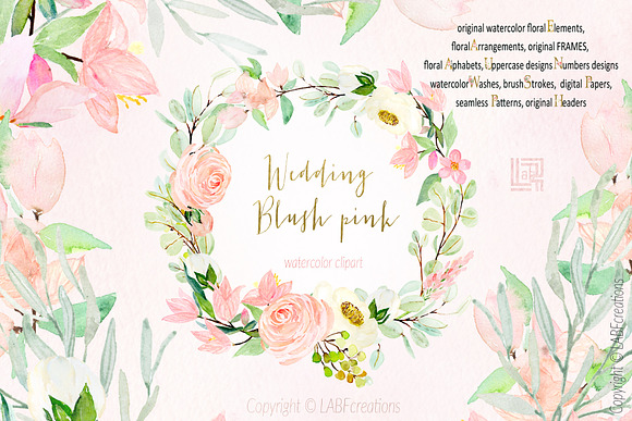 Blush pink bougainvillea flowers in Illustrations - product preview 15