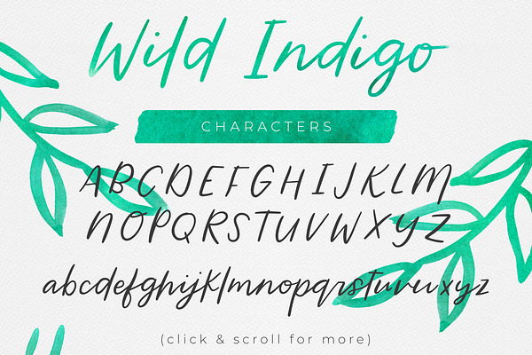 Wild Indigo Script Font