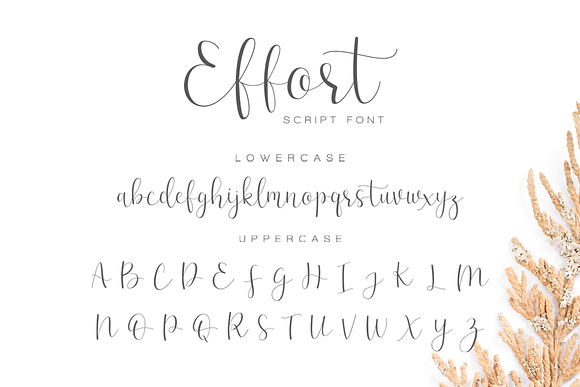 Effort Calligraphy Font - 50% OFF in Script Fonts - product preview 6